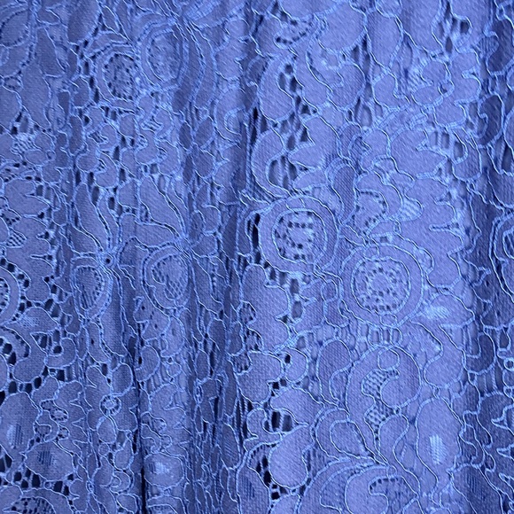Isaac Mizrahi Pants - NWT Isaac Mizrahi Live Blue Lace Pants Size Small